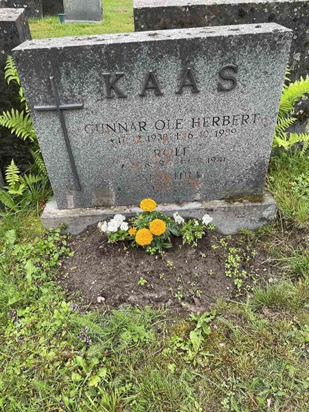 Gravnummer: N 4 4   564