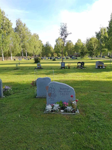 Hautatunnus: NK 22    24-25