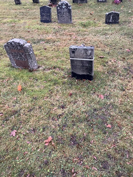 Hautatunnus: H 7   237