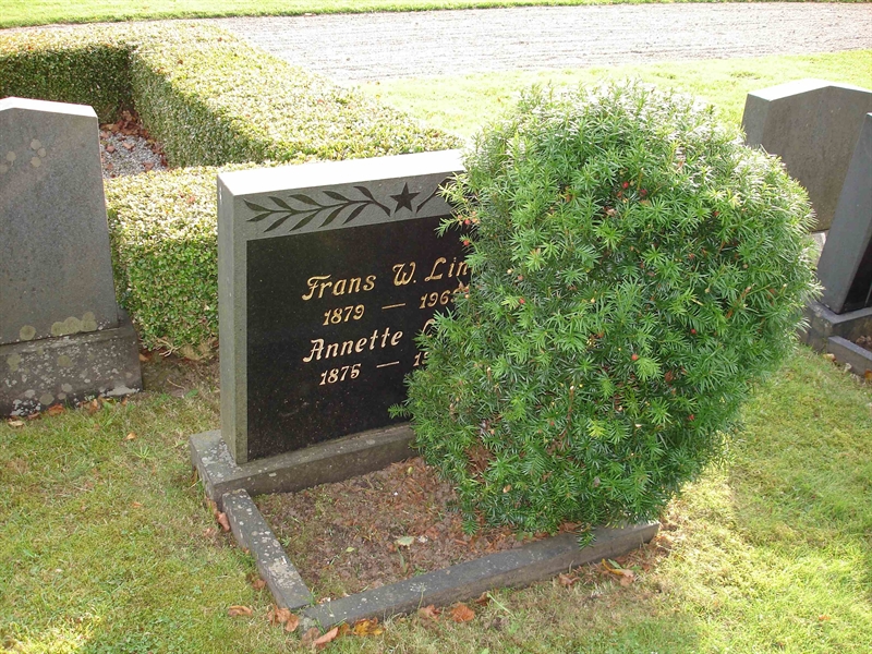 Grave number: HK B   241, 242