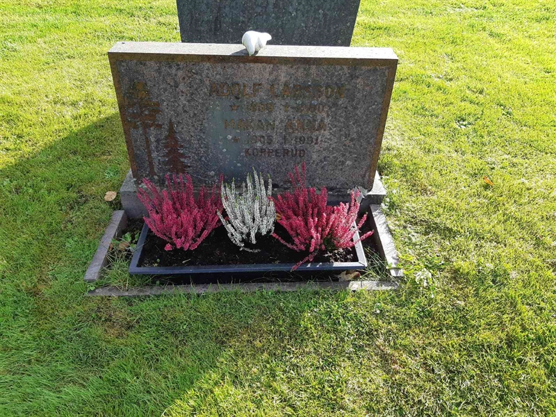 Hautatunnus: Fr 8   442-443