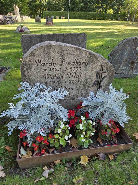 Grave number: T B B    50