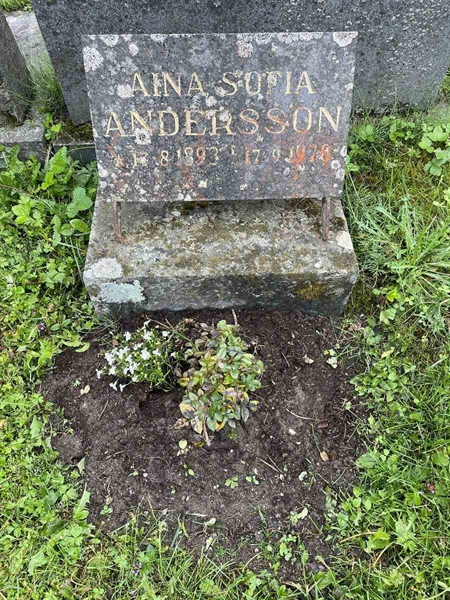 Gravnummer: N 4 4   567