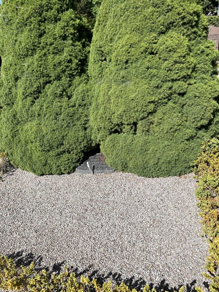 Grave number: NK F 154-155