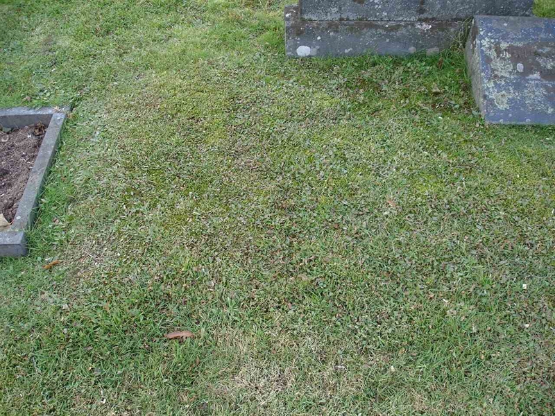 Grave number: FN F    28