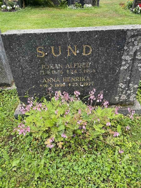 Hautatunnus: N 4 4   620