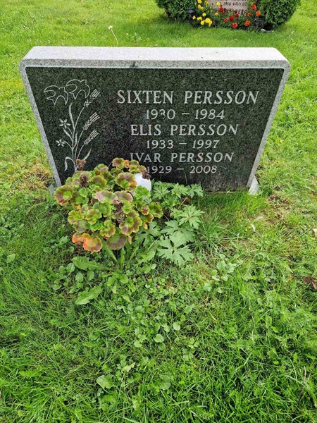 Grave number: 1 GL13    49-51