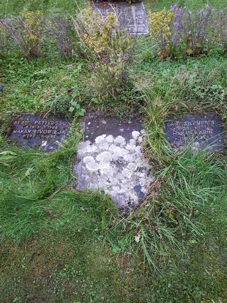 Hautatunnus: NK F G   120