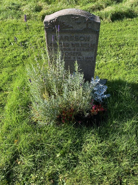 Hautatunnus: 2 F   285