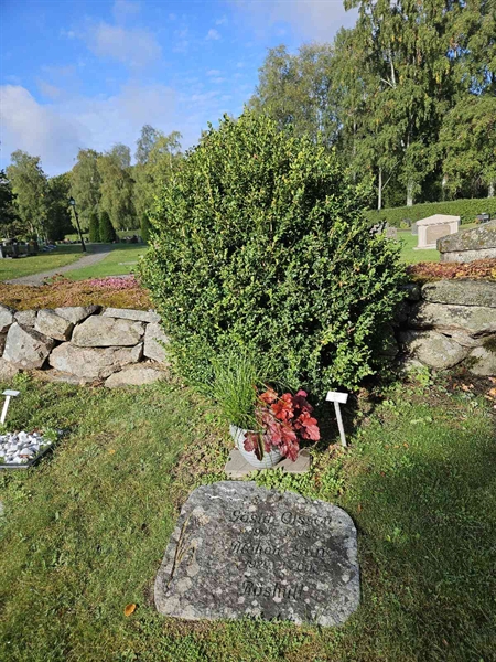 Grave number: Fr 5   876