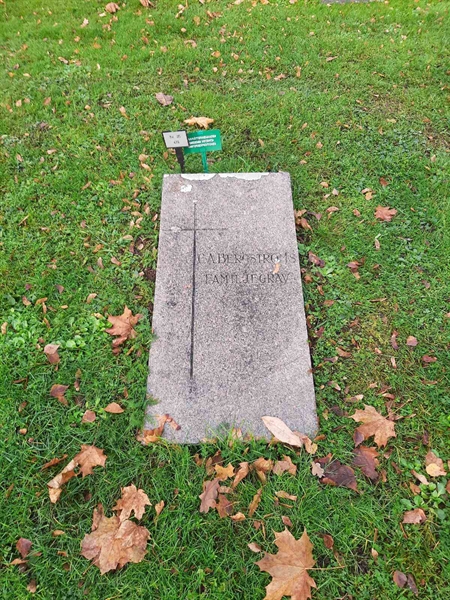 Grave number: 3 05  478