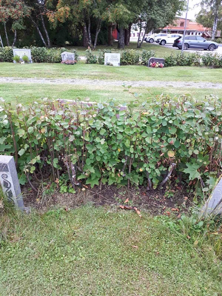 Gravnummer: NK F B    18