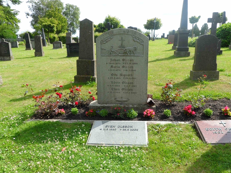 Grave number: ÖV A    17A