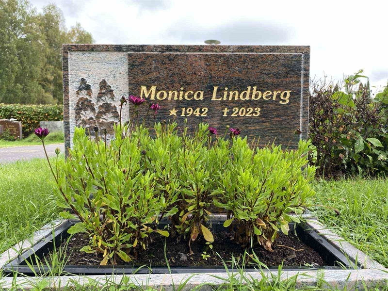 Hautatunnus: 1 21     28