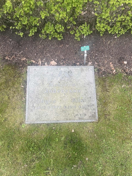 Hautatunnus: 1 3 B1 325