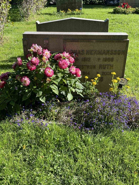 Grave number: 6 C    44-45
