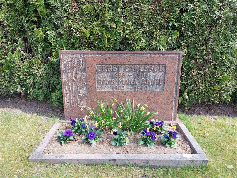 Grave number: HÖ 7   82, 83