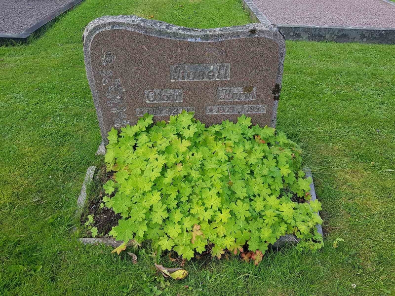 Grave number: 06 60317