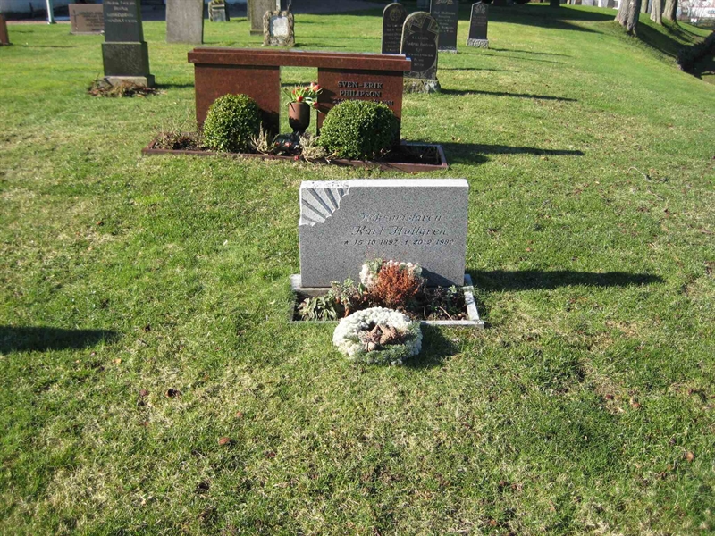 Grave number: ÖKK 7    50