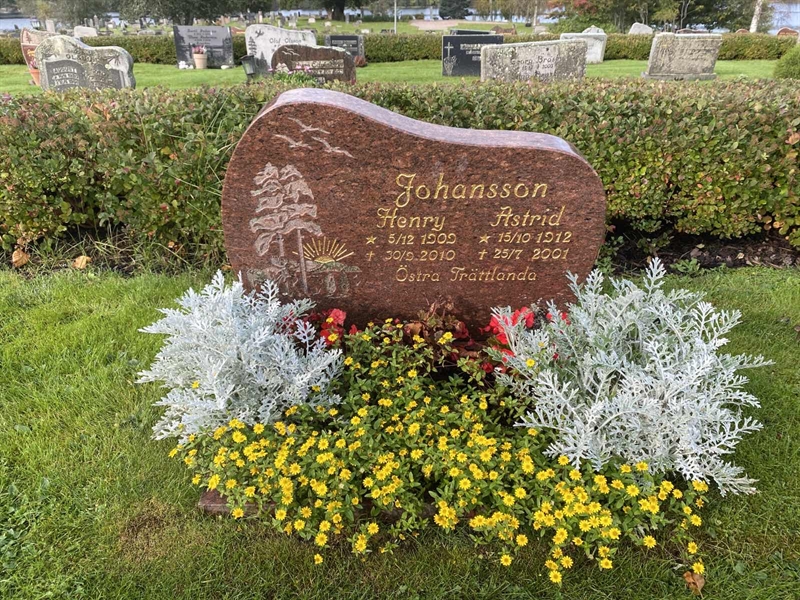 Grave number: 4 Öv 18    99-100