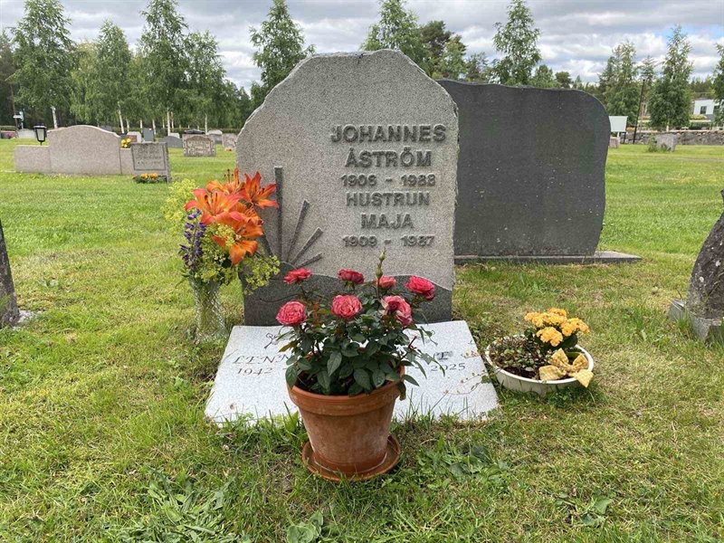 Grave number: 3 01   194