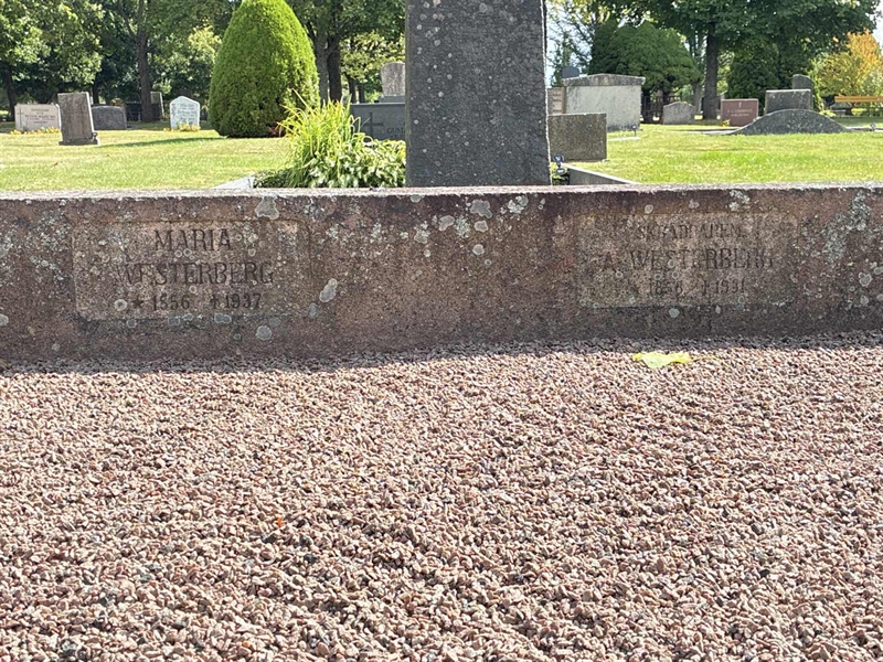 Grave number: 33 5   229