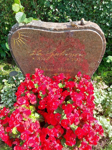 Hautatunnus: 1 D   101