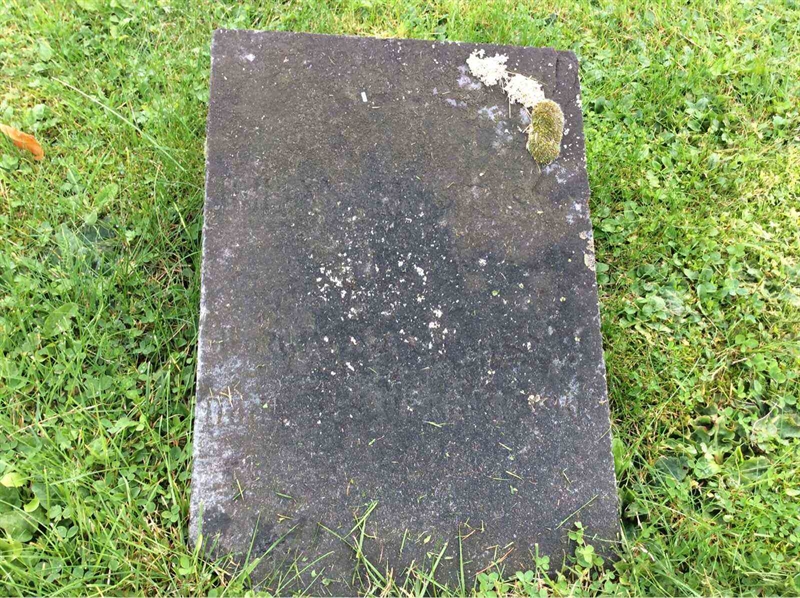 Grave number: KN 02   319
