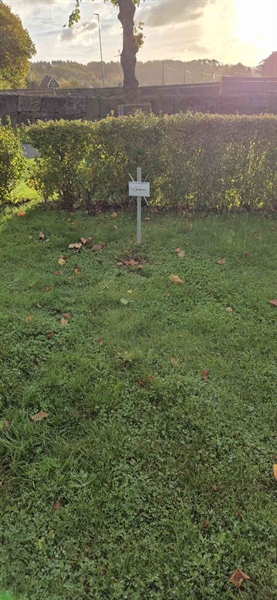 Hautatunnus: K1 01   164, 165