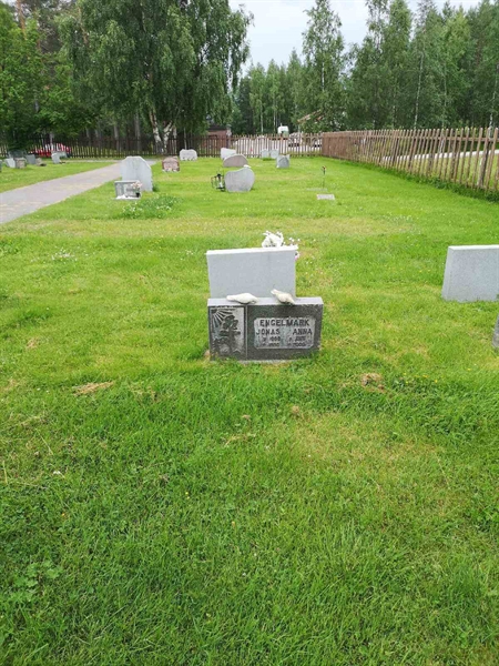 Hautatunnus: NK 07    81