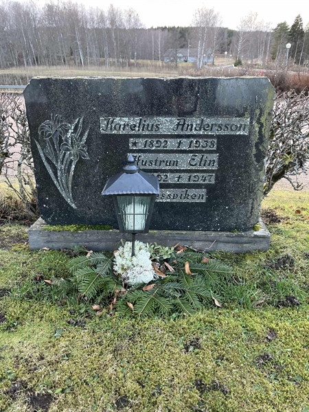 Hautatunnus: Vårv Kv4 38+39