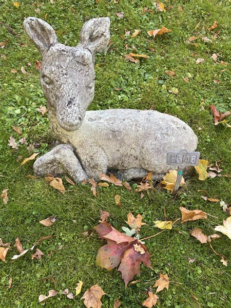 Gravnummer: 1 H   346