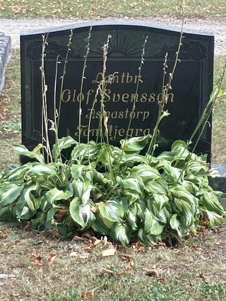Grave number: HK B    58, 59