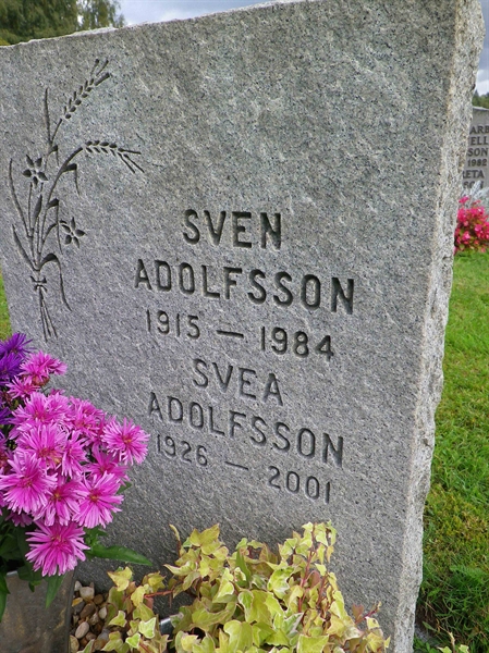 Grave number: OS ÖK   815