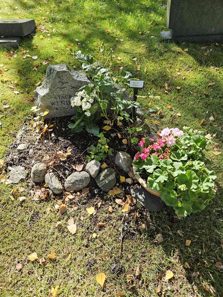 Grave number: Fr 7   945