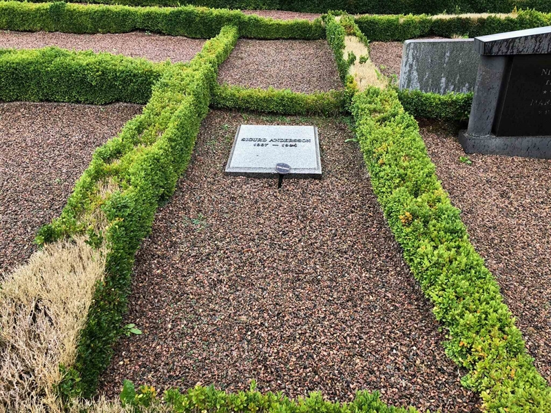 Grave number: Kå 41    38