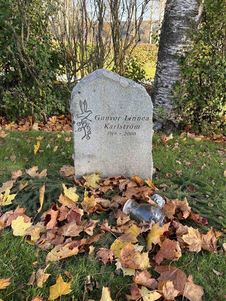 Gravnummer: 3084 J    44-45