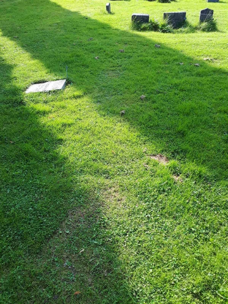 Gravnummer: NK A A   328