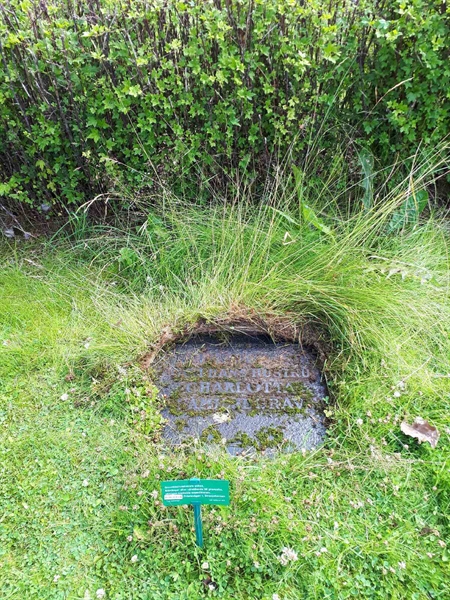 Gravnummer: GK F 5   510BC