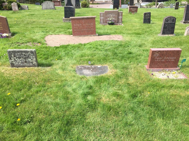 Grave number: ÖKK 1   219