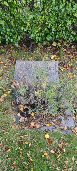 Grave number: M F   59
