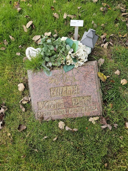 Grave number: Fr 8    96-97