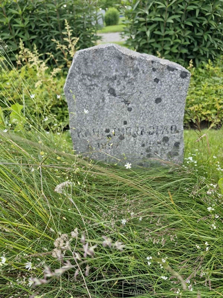 Hautatunnus: 1 ORDET 1