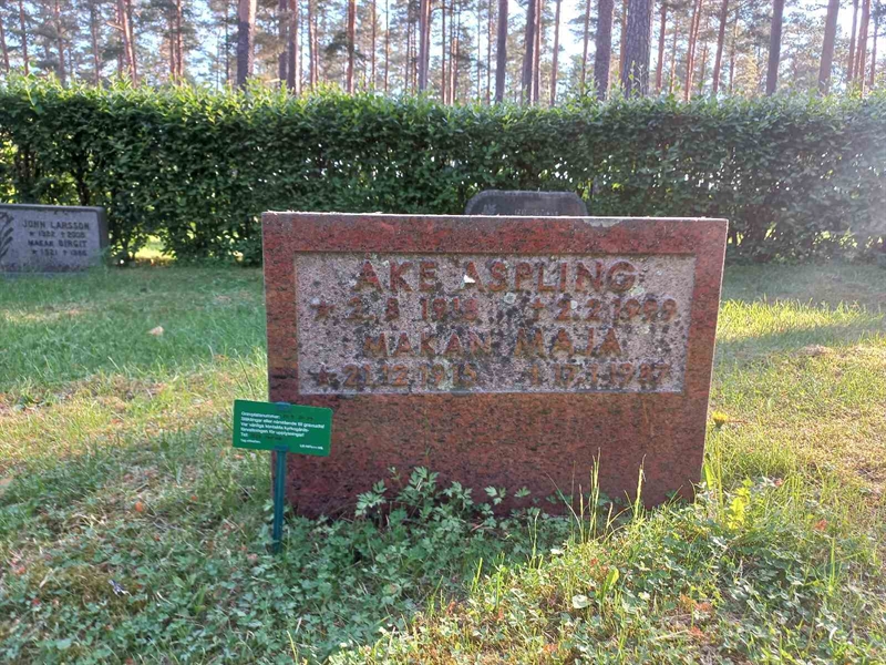 Grave number: 1 KV.9    38-39