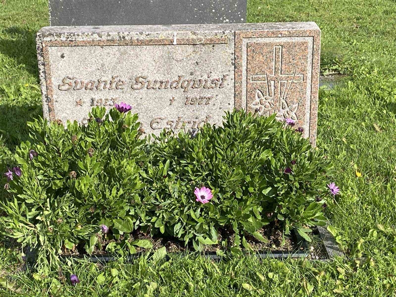 Grave number: 2 08   119