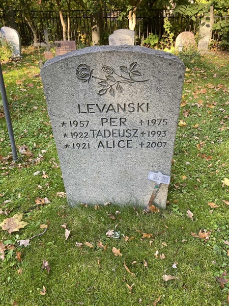 Gravnummer: 1 H   441