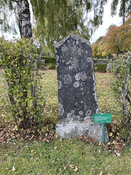 Grave number: 1 Q1   252B