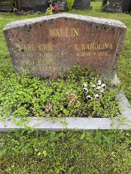 Hautatunnus: N 4 4   608