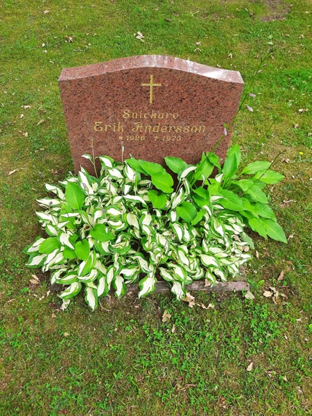 Grave number: M3 C    93, 94