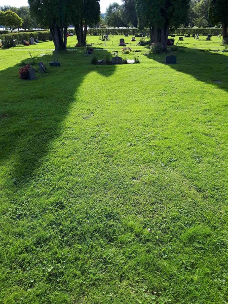 Gravnummer: NK A A   419